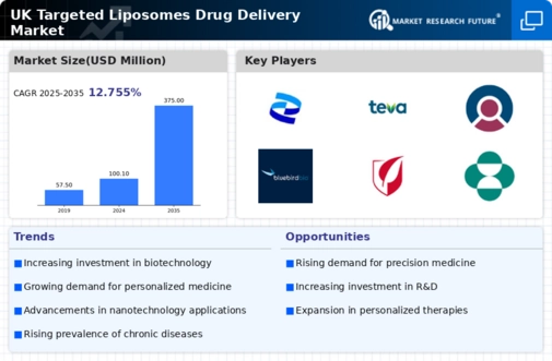 UK Targeted Liposomes Drug Delivery Market Research Report - Forecast to 2035 Infographic