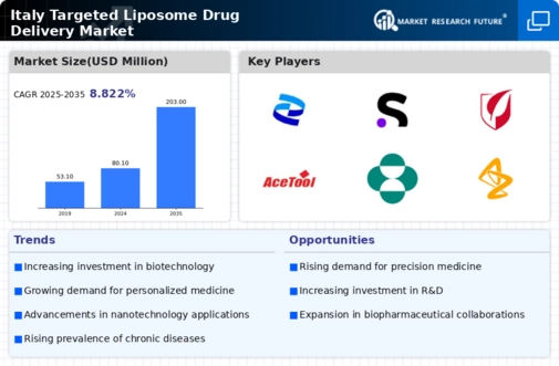 Italy Targeted Liposomes Drug Delivery Market Research Report - Forecast to 2035 Infographic