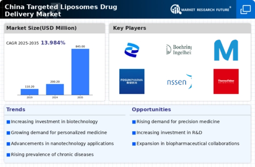 China Targeted Liposomes Drug Delivery Market Research Report- Forecast to 2035 Infographic
