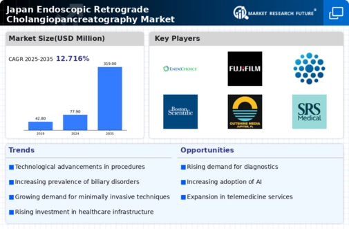 Japan Endoscopic Retrograde Cholangiopancreatography Market Infographic
