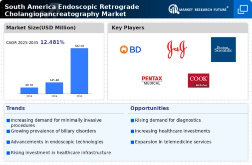 South America Endoscopic Retrograde Cholangiopancreatography Market Research Report - Forecast to 2035 Infographic