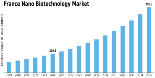 Market Size