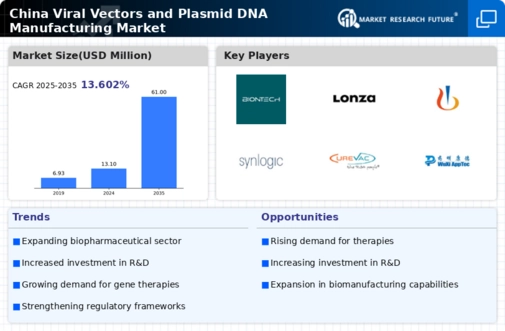China Viral Vectors and Plasmid DNA Manufacturing Market Research Report-Forecast to 2035 Infographic