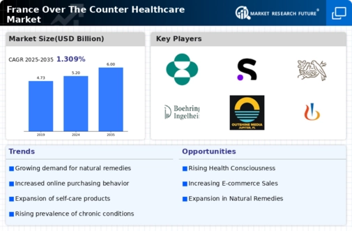 France Over the Counter Healthcare Market Research Report-Forecast to 2035 Infographic