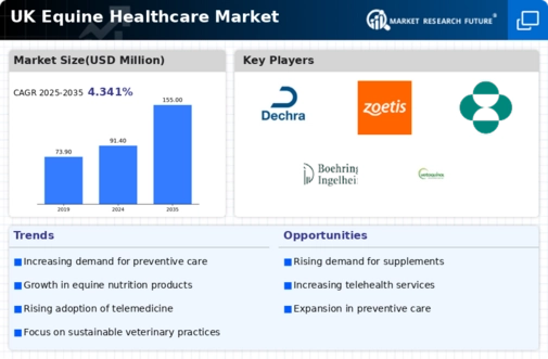UK Equine Healthcare Market Research Report - Forecast to 2035 Infographic