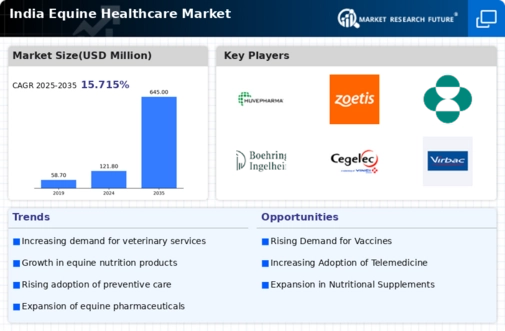 India Equine Healthcare Market Research Report - Forecast to 2035 Infographic