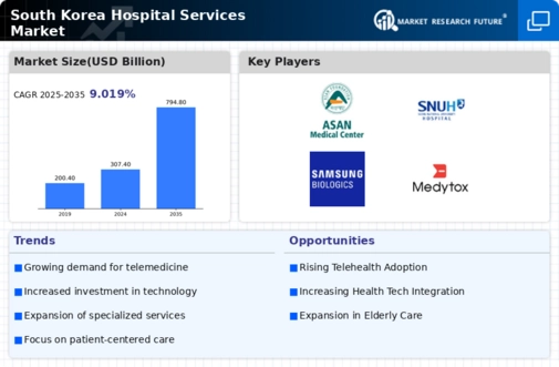 South Korea Hospital Services Market Infographic