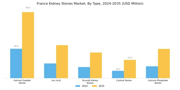 France Kidney Stones Market Segment Image 0