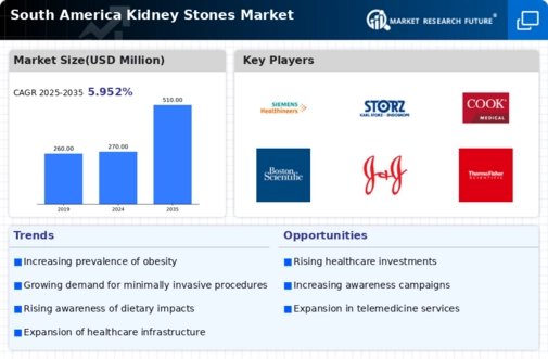 South America Kidney Stones Market Infographic