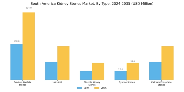 South America Kidney Stones Market Segment Image 0