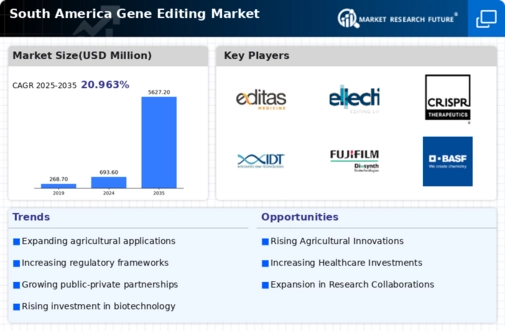 South America Gene Editing Market Research Report-Forecast to 2035 Infographic