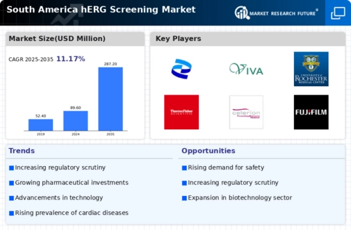 South America hERG Screening Market Infographic