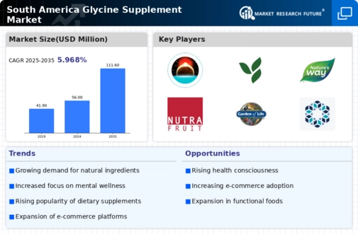 South America Glycine Supplement Market Research Report - Forecast to 2035 Infographic