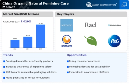 China Organic Natural Feminine Care Market Research Report - Forecast to 2035 Infographic