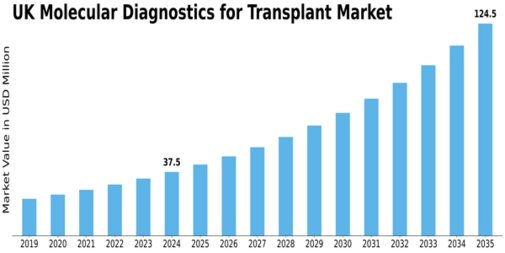 Market Size