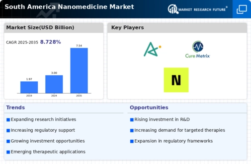 South America Nanomedicine Market Infographic