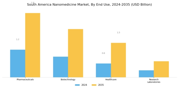 South America Nanomedicine Market Segment Image 2
