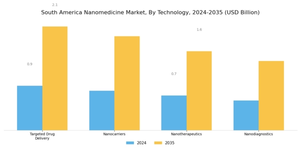 South America Nanomedicine Market Segment Image 3