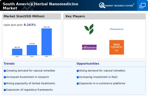 South America Herbal Nanomedicine Market Infographic