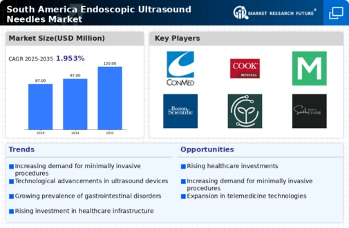 South America Endoscopic Ultrasound Needles Market Research Report- Forecast To 2035 Infographic