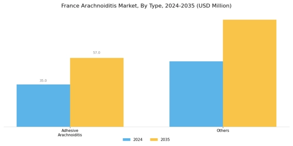 France Arachnoiditis Market Segment Image 0