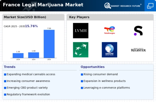 France Legal Marijuana Market Research Report - Forecast to 2035 Infographic