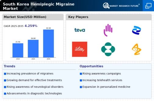 South Korea Hemiplegic Migraine Market Infographic