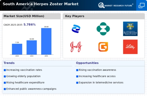 South America Herpes Zoster Market Research Report-Forecast to 2035 Infographic