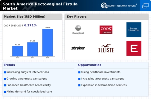 South America Rectovaginal Fistula Market Research Report -Forecast to 2035 Infographic