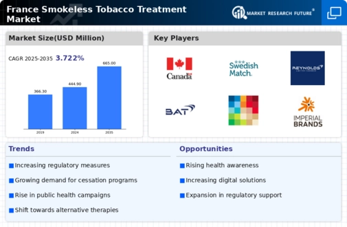 France Smokeless Tobacco Treatment Market Research Report - Forecast to 2035 Infographic