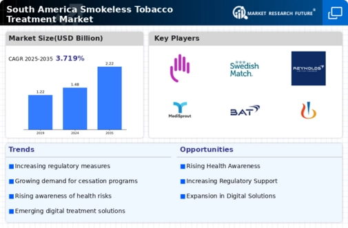 South America Smokeless Tobacco Treatment Market Research Report - Forecast to 2035 Infographic