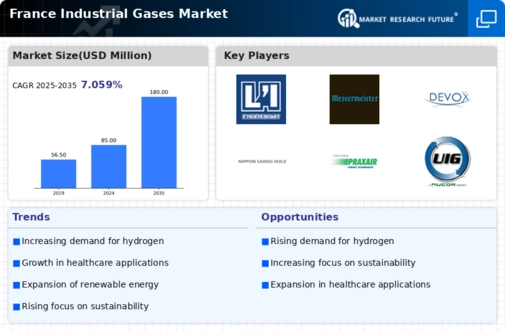 France Industrial Gases Market Research Report - Forecast till 2035 Infographic