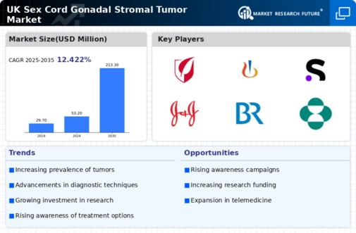 UK Sex Cord Gonadal Stromal Tumor Market Research Report - Forecast to 2035 Infographic