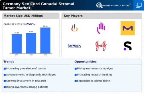 Germany Sex Cord Gonadal Stromal Tumor Market Research Report - Forecast to 2035 Infographic