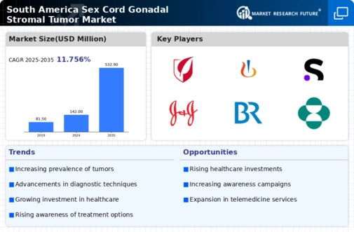 South America Sex Cord Gonadal Stromal Tumor Market Research Report - Forecast to 2035 Infographic