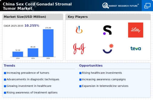 China Sex Cord Gonadal Stromal Tumor Market Research Report - Forecast to 2035 Infographic