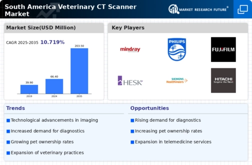 South America Veterinary CT Scanner Market Research Report - Forecast To 2035 Infographic