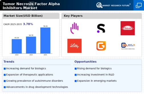Tumor Necrosis Factor Alpha Inhibitors Market Research Report–Forecast till 2032 Infographic
