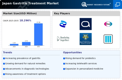 Japan Gastritis Treatment Market Infographic
