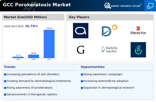 GCC Porokeratosis Market Infographic
