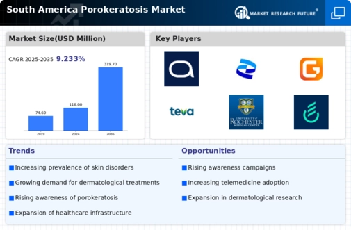 South America Porokeratosis Market Infographic