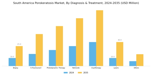 South America Porokeratosis Market Segment Image 1