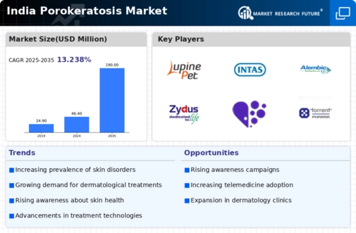 India Porokeratosis Market Infographic