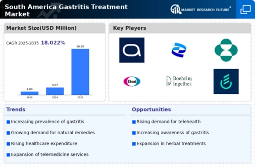 South America Gastritis Treatment Market Infographic