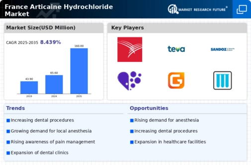 France Articaine Hydrochloride Market Research Report-Forecast to 2035 Infographic