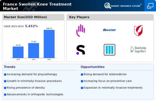 France Swollen Knee Treatment Market Research Report - Forecast to 2035 Infographic