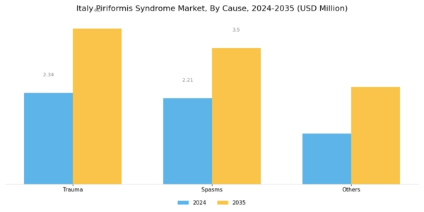 Italy Piriformis Syndrome Market Segment Image 0