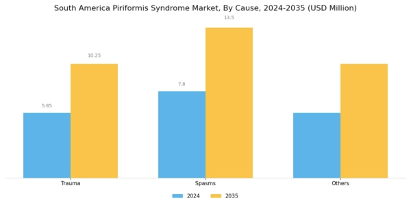 South America Piriformis Syndrome Market Segment Image 0