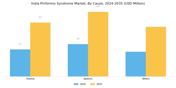 India Piriformis Syndrome Market Segment Image 0