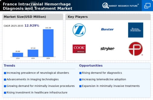 France Intracranial Hemmorhage Diagnosis and Treatment Market Research Report-Forecast to 2035 Infographic